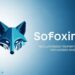 Sofoximmo: Revolutionizing Property Management for Modern Investors