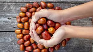 Žižole: The Complete Guide to the Ancient Jujube Fruit's Meaning and Benefits