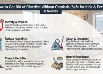 How to Get Rid of Silverfish Without Chemicals (Safe for Kids & Pets) in Norway